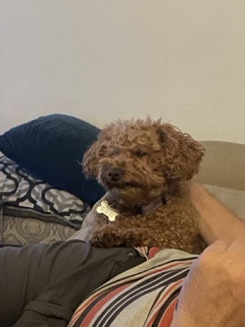 Buddy becoming aware of something
